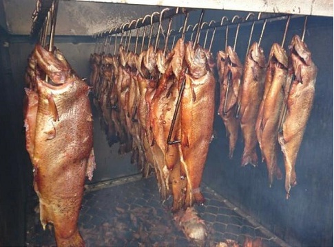Nghề nuôi Cá Tầm, Cá Hồi nước lạnh tại Sa Pa, mang lại giá trị kinh tế lớn
